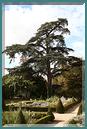 Le_Cormenier-Le_Parc_de_la_Belle-096