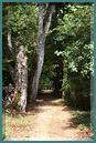 Le_Cormenier-Le_Parc_de_la_Belle-102