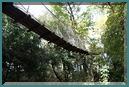 Le_Cormenier-Le_Parc_de_la_Belle-107