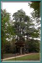Le_Cormenier-Le_Parc_de_la_Belle-117